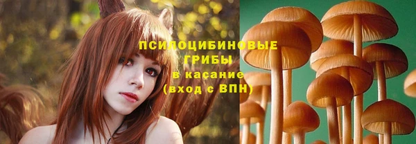 ПСИЛОЦИБИНОВЫЕ ГРИБЫ Алексин
