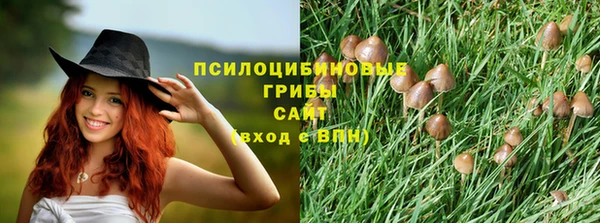 spice Алзамай
