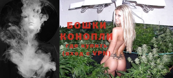 ПСИЛОЦИБИНОВЫЕ ГРИБЫ Алексин