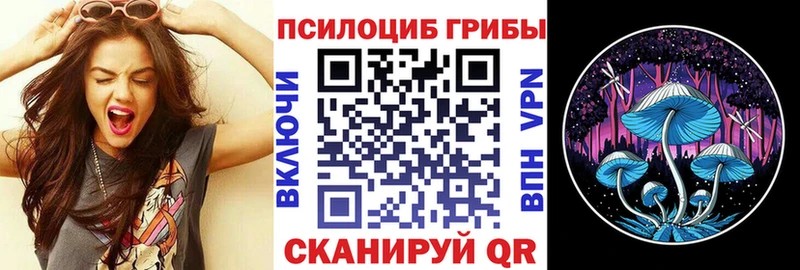 Галлюциногенные грибы прущие грибы  Лобня 