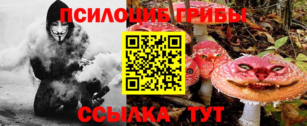 Псилоцибиновые грибы Magic Shrooms  Лобня 