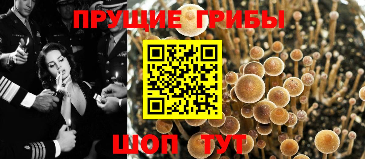 Галлюциногенные грибы GOLDEN TEACHER Лобня