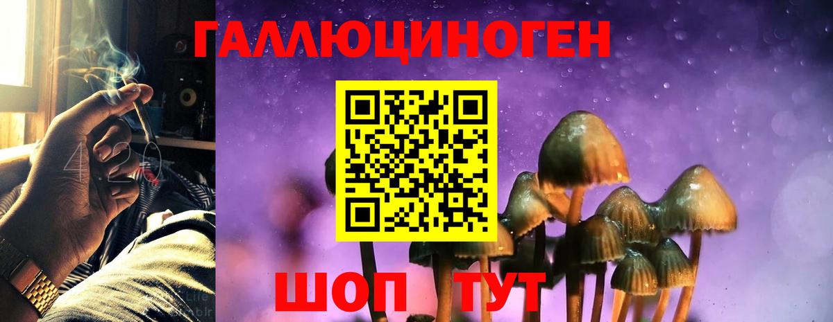 Псилоцибиновые грибы Cubensis Лобня